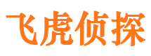 九里出轨调查